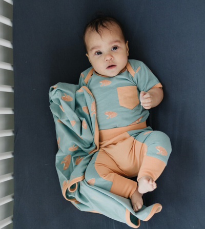 Unisex Organic Cotton Baby Bodysuits